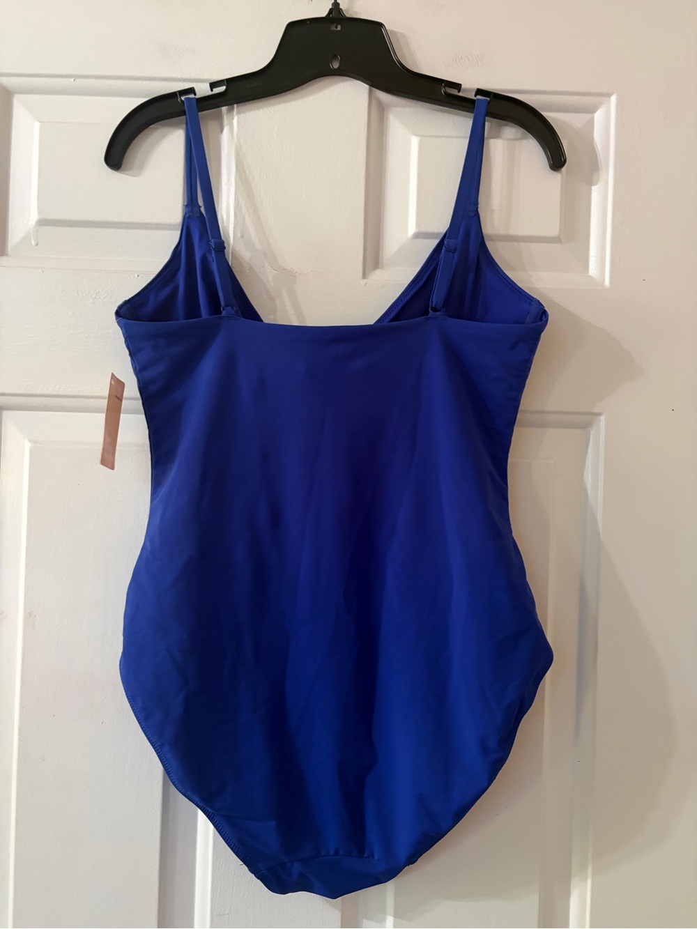 Women’s Plunge V-Front Bodysuit in Royal Blue - Picture 11 of 16